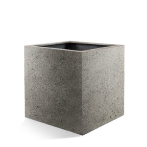 Pot Grigio Cube Natural Concrete en pot  Hauteur 50cm. Plante verte type Pot Grigio Cube Natural Concrete, livrée en pot, idéale pour intérieur lumineux.