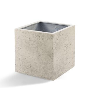 Pot Grigio Cube Antique White en pot  Hauteur 40cm. Plante verte type Pot Grigio Cube Antique White, livrée en pot, idéale pour intérieur lumineux.