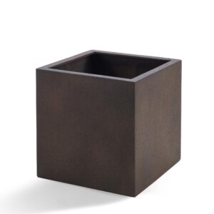Pot Grigio Cube Rusty Iron en pot  Hauteur 50cm. Plante verte type Pot Grigio Cube Rusty Iron, livrée en pot, idéale pour intérieur lumineux.