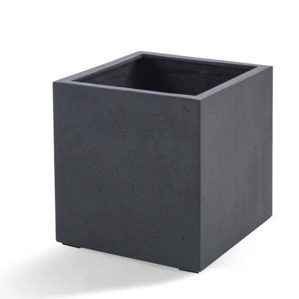 Pot Grigio Cube Antraciet en pot  Hauteur 40cm. Plante verte type Pot Grigio Cube Antraciet, livrée en pot, idéale pour intérieur lumineux.