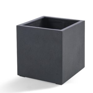 Pot Grigio Cube Antraciet en pot  Hauteur 50cm. Plante verte type Pot Grigio Cube Antraciet, livrée en pot, idéale pour intérieur lumineux.