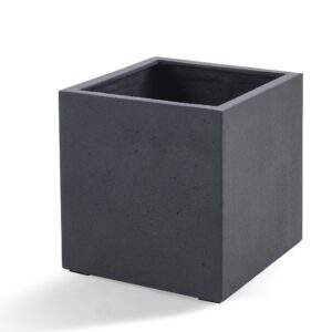 Pot Grigio Cube Antraciet en pot  Hauteur 60cm. Plante verte type Pot Grigio Cube Antraciet, livrée en pot, idéale pour intérieur lumineux.