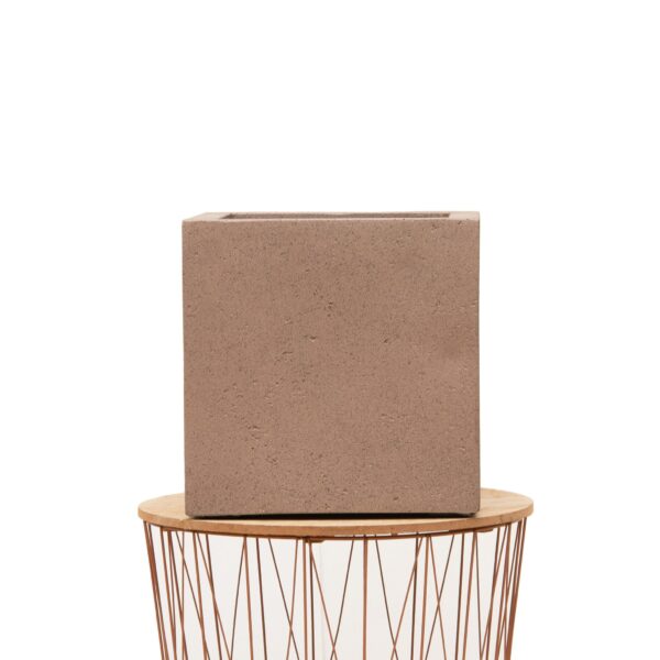 Pot Grigio Cube Bronze en pot  Hauteur 40cm. Plante verte type Pot Grigio Cube Bronze, livrée en pot, idéale pour intérieur lumineux. – Image 2