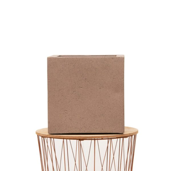 Pot Grigio Cube Bronze en pot  Hauteur 50cm. Plante verte type Pot Grigio Cube Bronze, livrée en pot, idéale pour intérieur lumineux. – Image 2