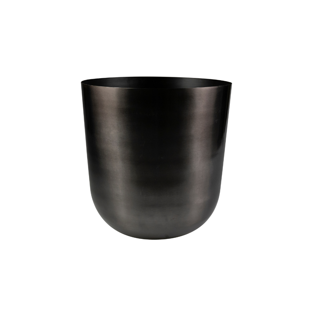 Pot Mayk Lead en pot. Plante verte type Pot Mayk Lead, livrée en pot, idéale pour intérieur lumineux.