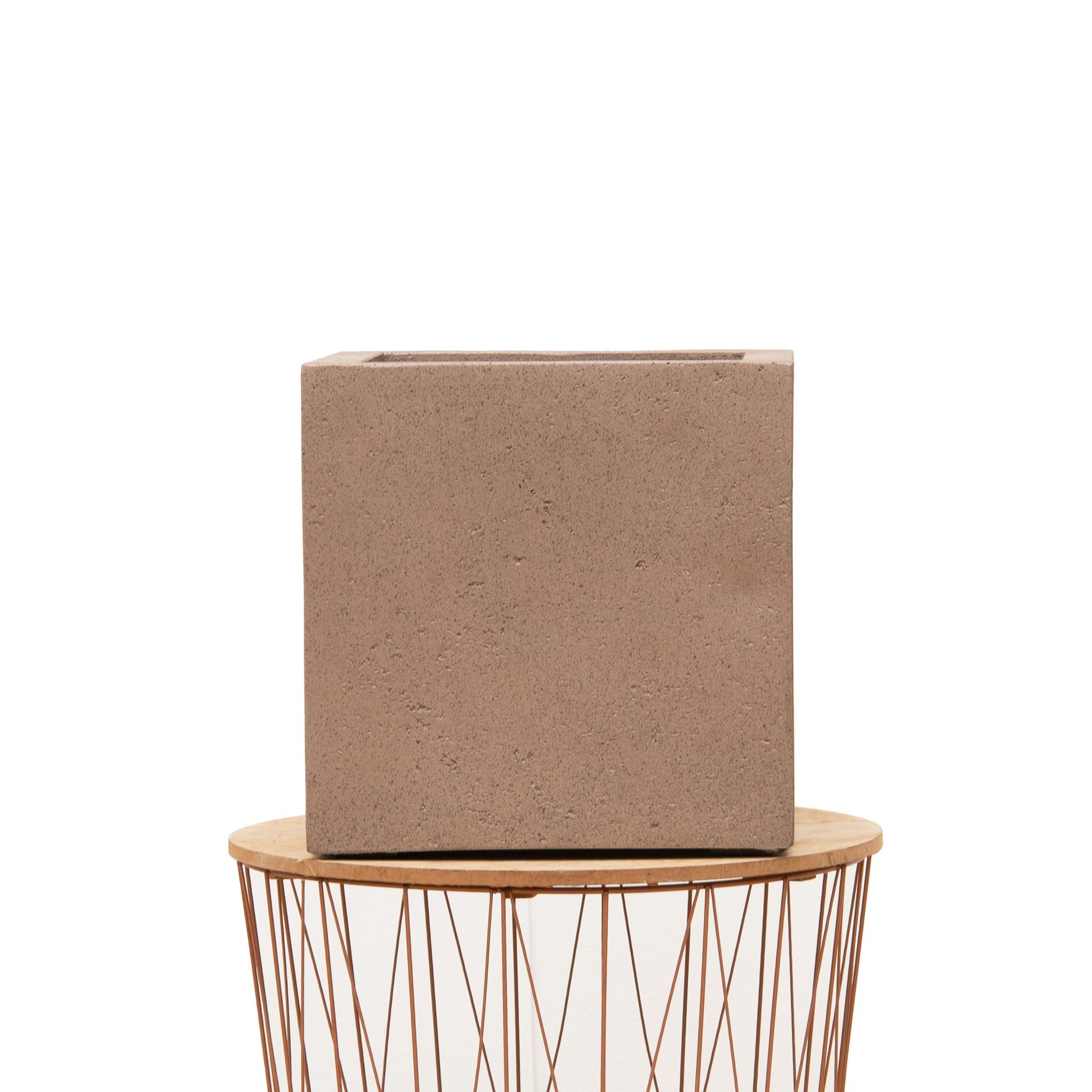 Pot Grigio Cube Bronze en pot  Hauteur 60cm. Plante verte type Pot Grigio Cube Bronze, livrée en pot, idéale pour intérieur lumineux. – Image 2
