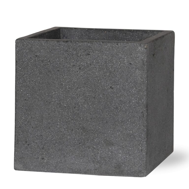 Block Laterite Grey en pot. Plante verte type Block Laterite Grey, livrée en pot, idéale pour intérieur lumineux.