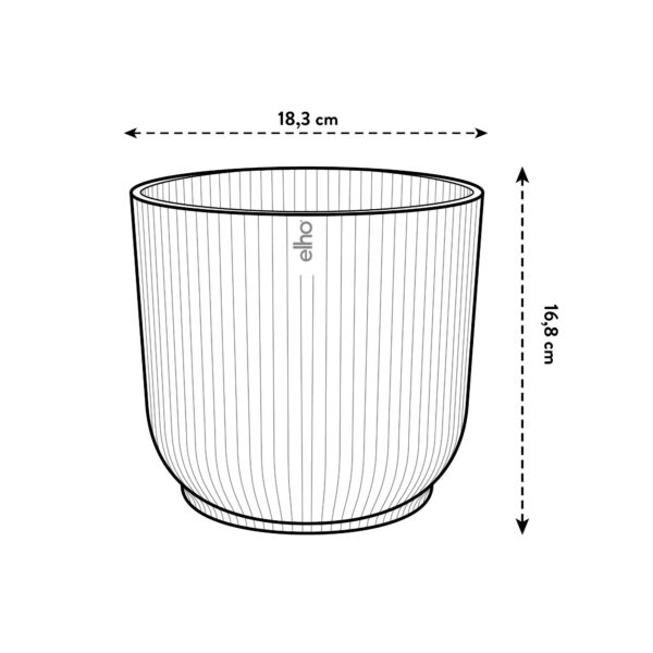 Pot elho Vibes Fold Round blauw en pot  Hauteur 17cm. Plante verte type Pot elho Vibes Fold Round blauw, livrée en pot, idéale pour intérieur lumineux. – Image 5