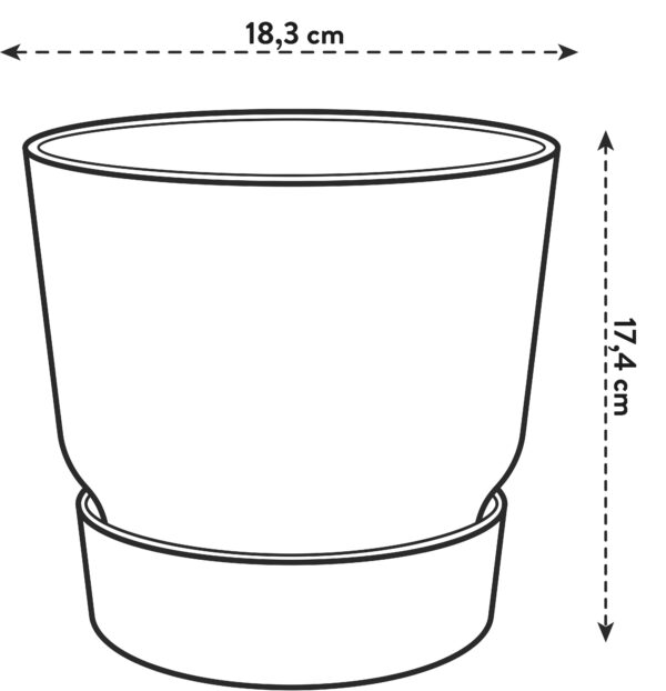 Pot elho Greenville Round grijs en pot  Hauteur 17cm. Plante verte type Pot elho Greenville Round grijs, livrée en pot, idéale pour intérieur lumineux. – Image 4