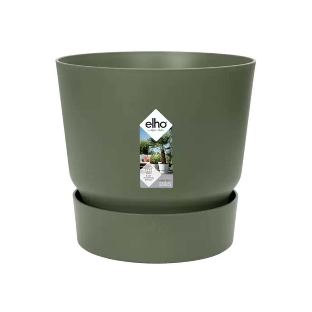 Elho greenville round leaf green en pot. Plante verte type Elho greenville round leaf green, livrée en pot, idéale pour intérieur lumineux.