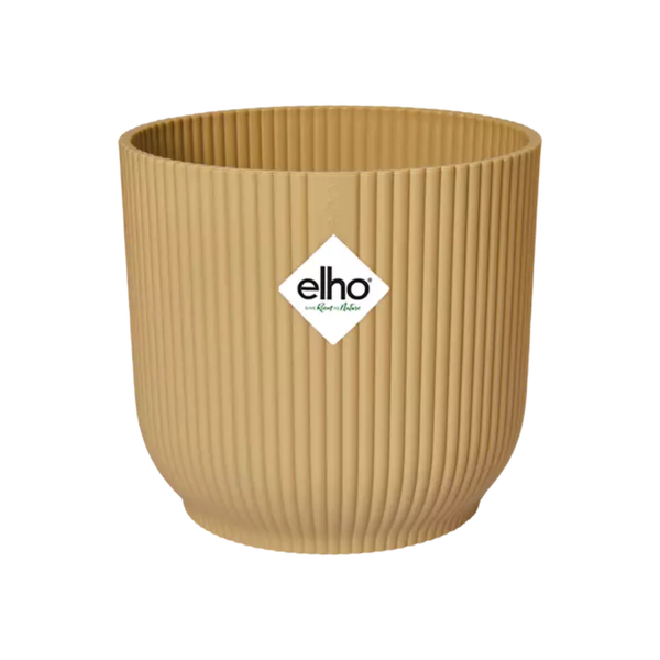 ELHO Vibes Fold 18cm geel en pot. Plante verte type ELHO Vibes Fold 18cm geel, livrée en pot, idéale pour intérieur lumineux.