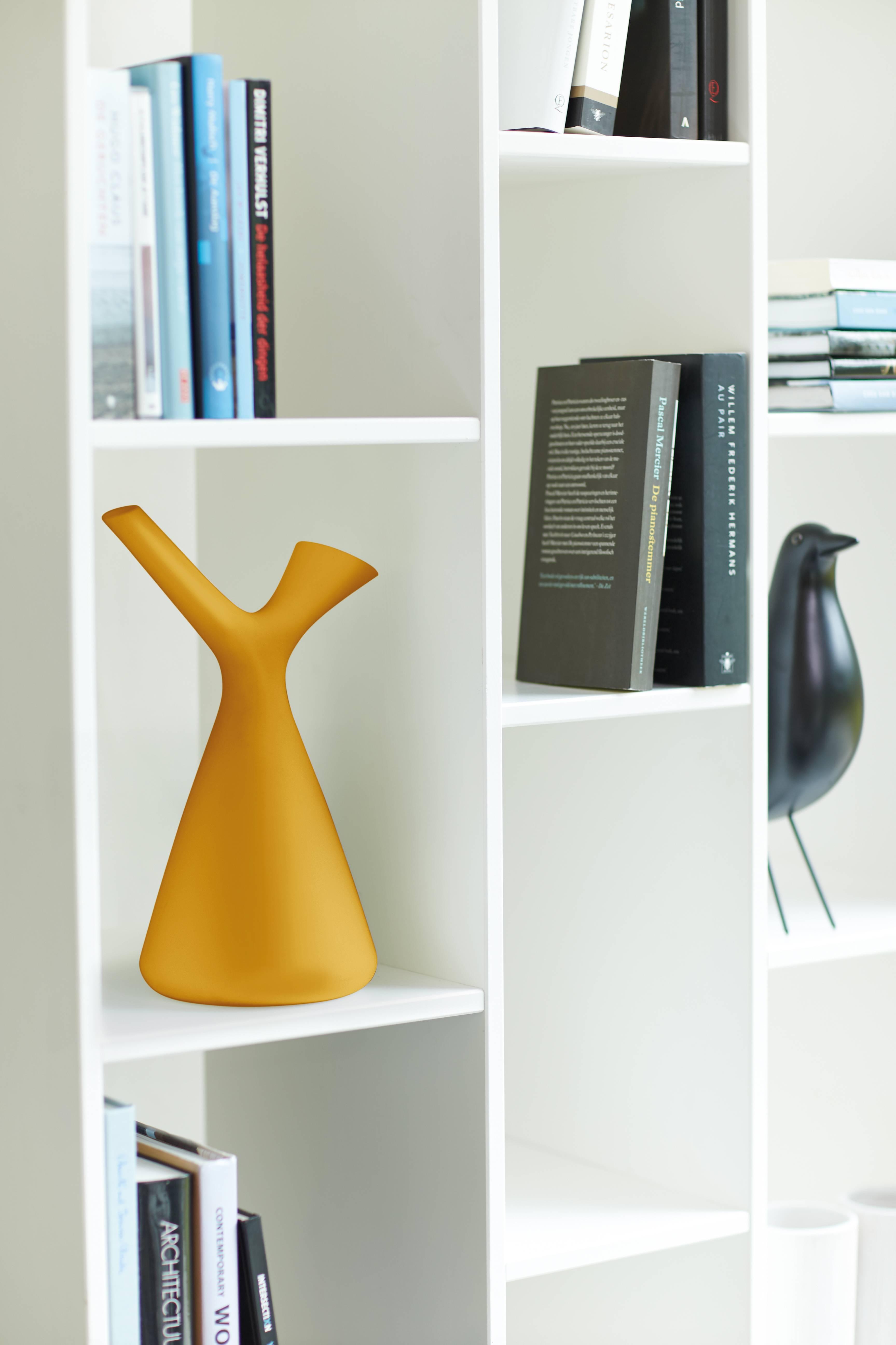 Plunge gieter 1,7L Oker en pot. Plante verte type Plunge gieter 1,7L Oker, livrée en pot, idéale pour intérieur lumineux. – Image 3