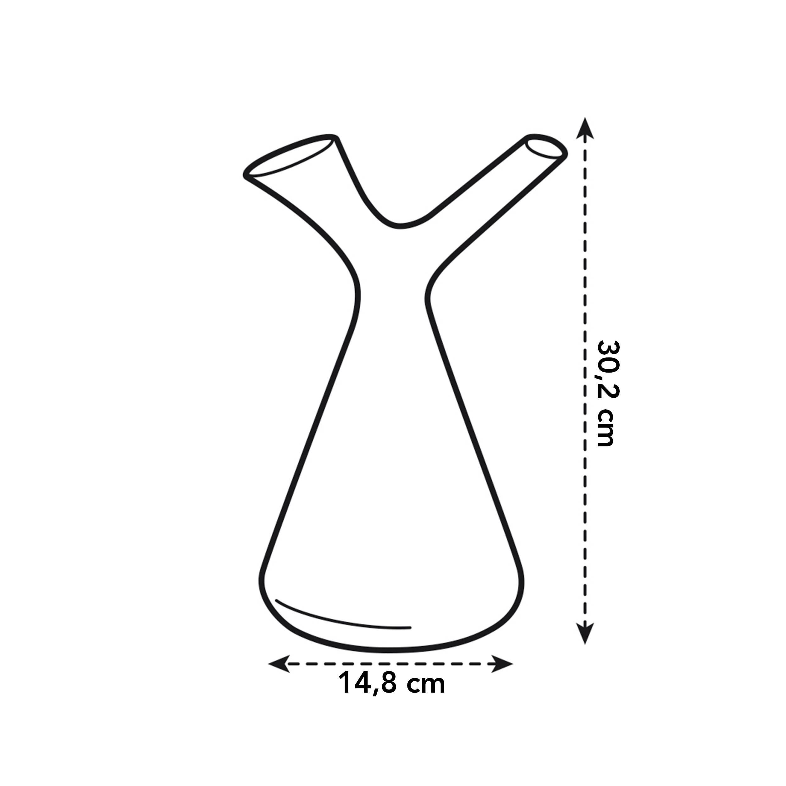 Plunge gieter 1,7L Wit en pot. Plante verte type Plunge gieter 1,7L Wit, livrée en pot, idéale pour intérieur lumineux. – Image 2