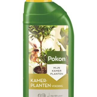 Pokon Kamerplanten voeding 500 ml en pot. Plante verte type Pokon Kamerplanten voeding 500 ml, livrée en pot, idéale pour intérieur lumineux.