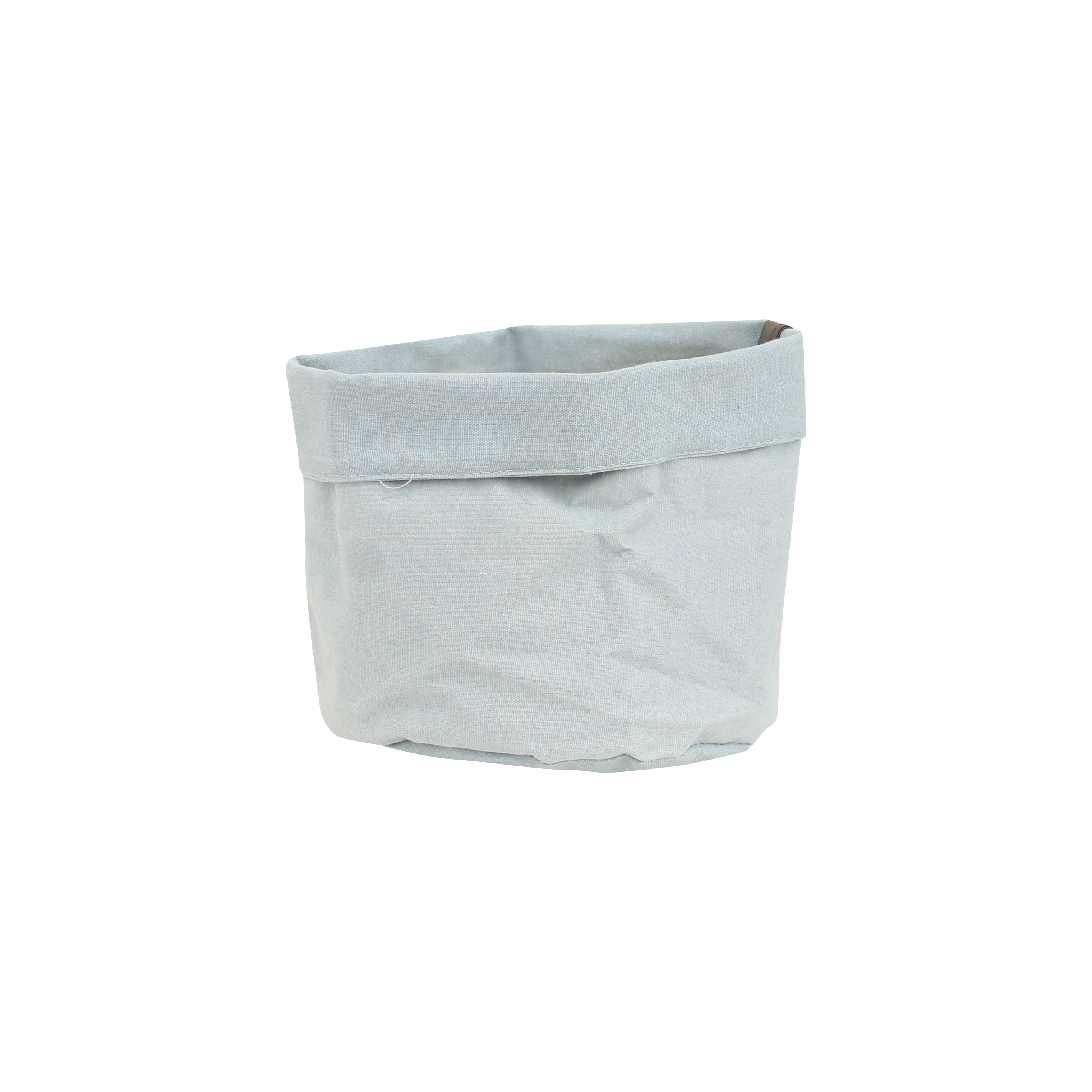 Plantbag Old Blue en pot. Plante verte type Plantbag Old Blue, livrée en pot, idéale pour intérieur lumineux.