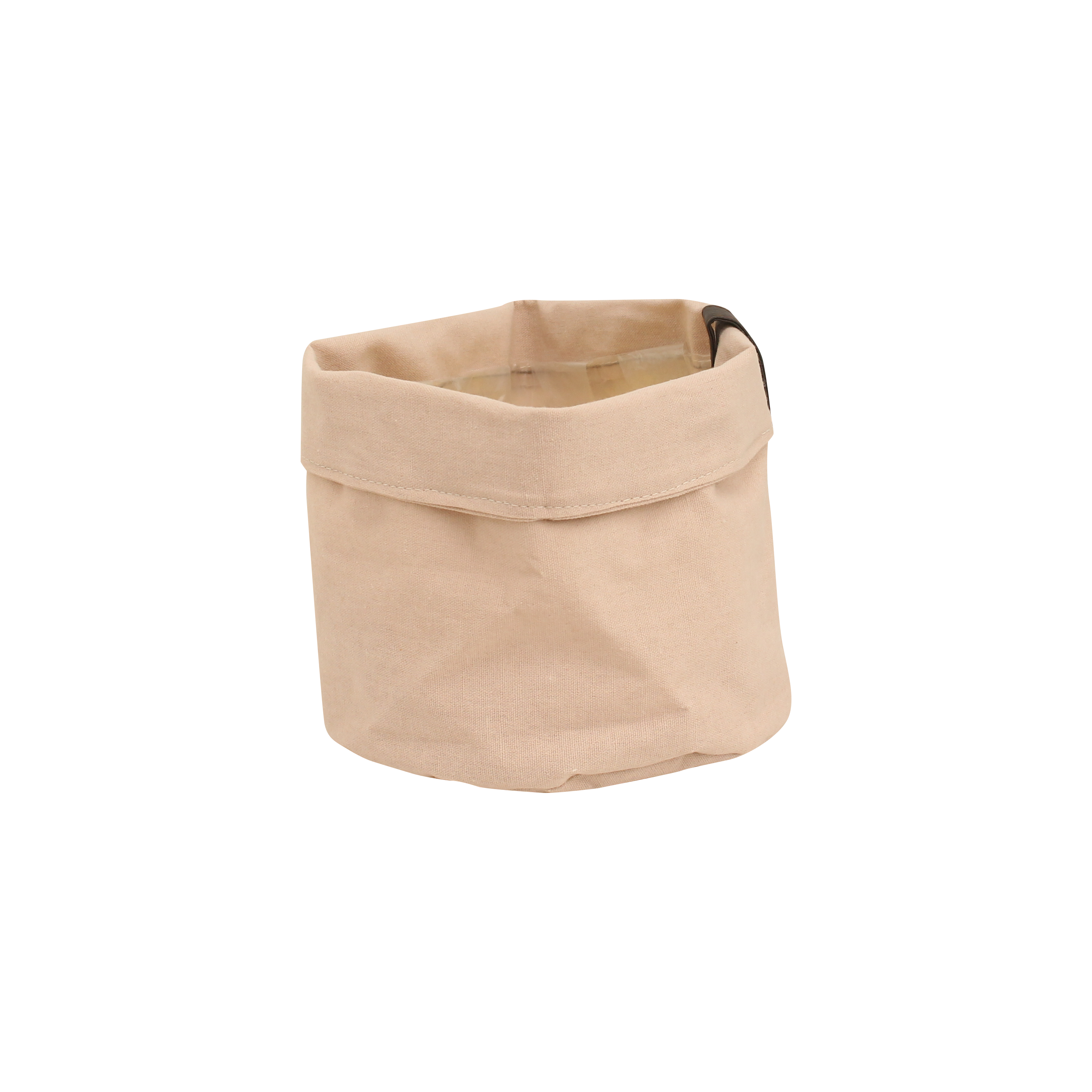 Plantbag Old Pink en pot. Plante verte type Plantbag Old Pink, livrée en pot, idéale pour intérieur lumineux.