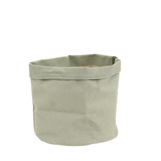 Plantbag Jade en pot. Plante verte type Plantbag Jade, livrée en pot, idéale pour intérieur lumineux.