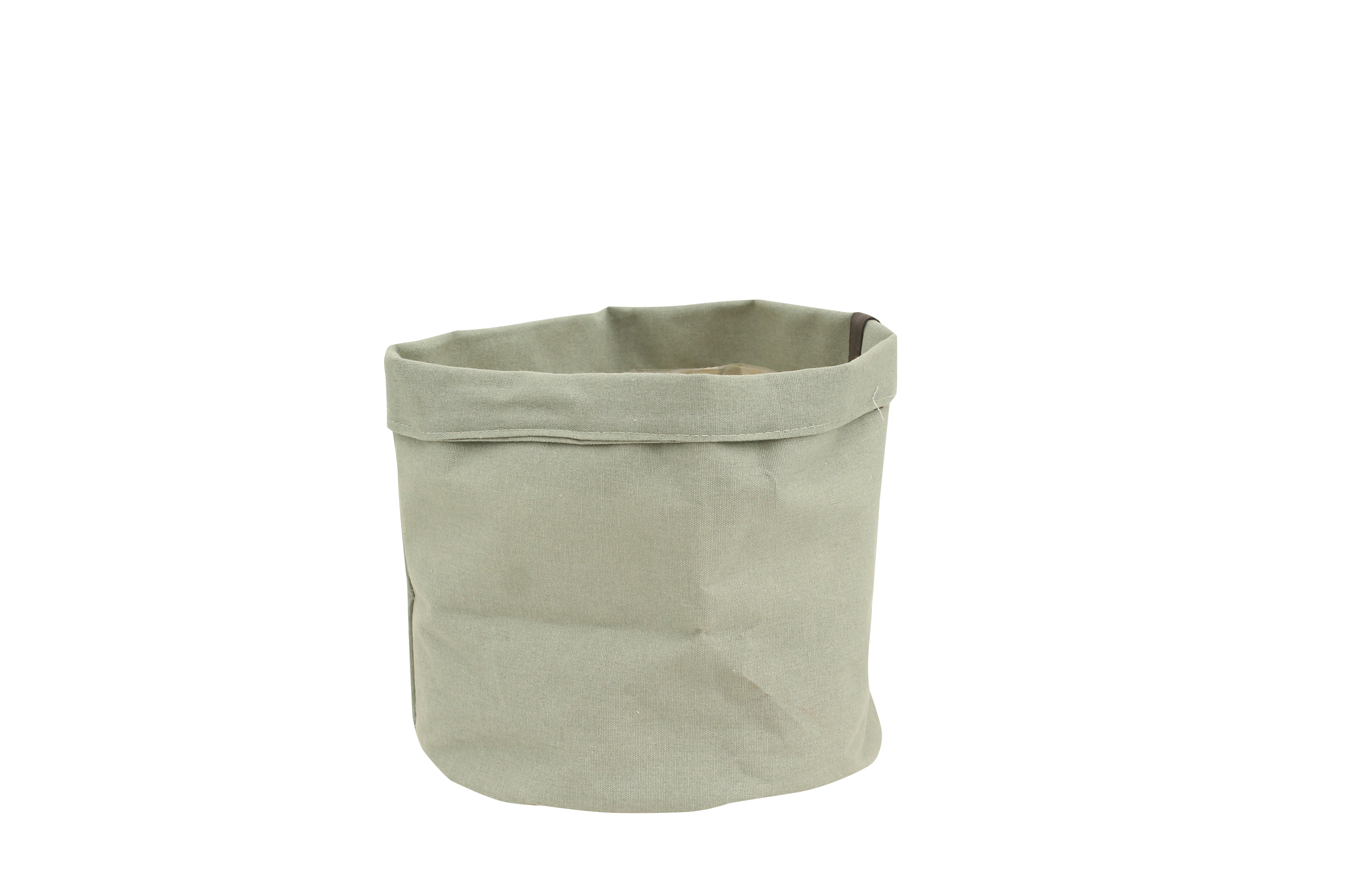 Plantbag Jade en pot. Plante verte type Plantbag Jade, livrée en pot, idéale pour intérieur lumineux.