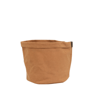 Plantbag Terra en pot. Plante verte type Plantbag Terra, livrée en pot, idéale pour intérieur lumineux.