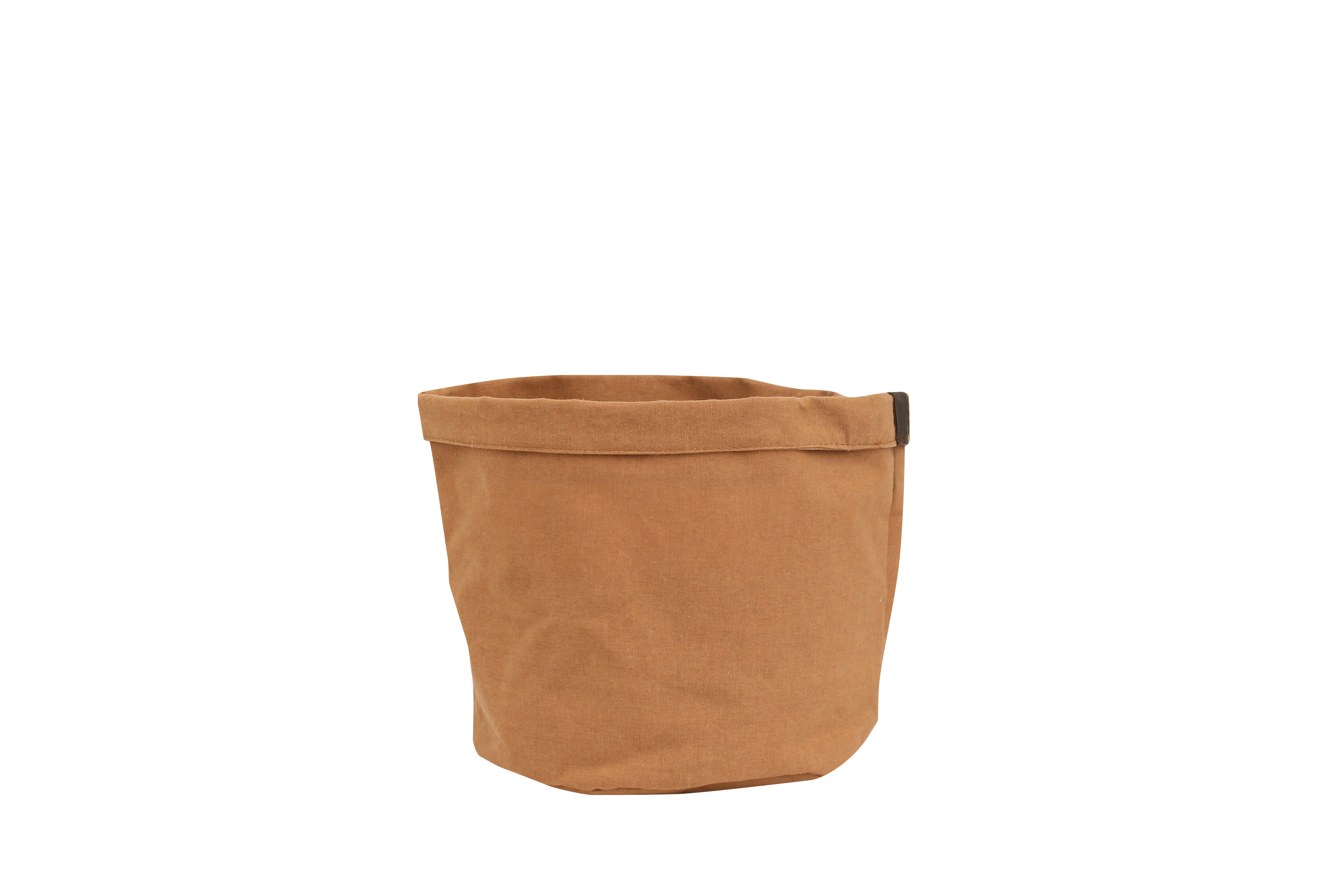 Plantbag Terra en pot. Plante verte type Plantbag Terra, livrée en pot, idéale pour intérieur lumineux.
