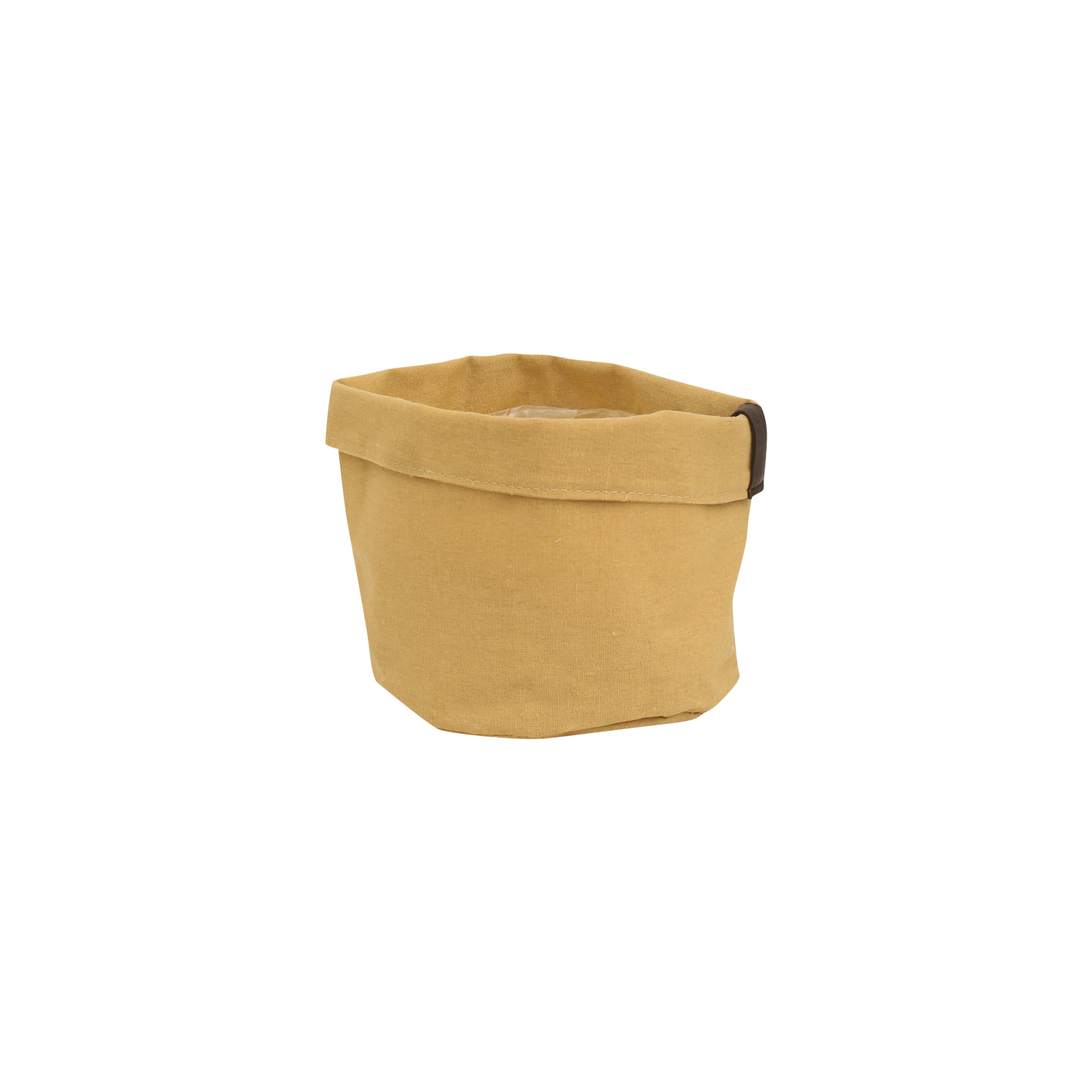Plantbag Oker en pot. Plante verte type Plantbag Oker, livrée en pot, idéale pour intérieur lumineux.