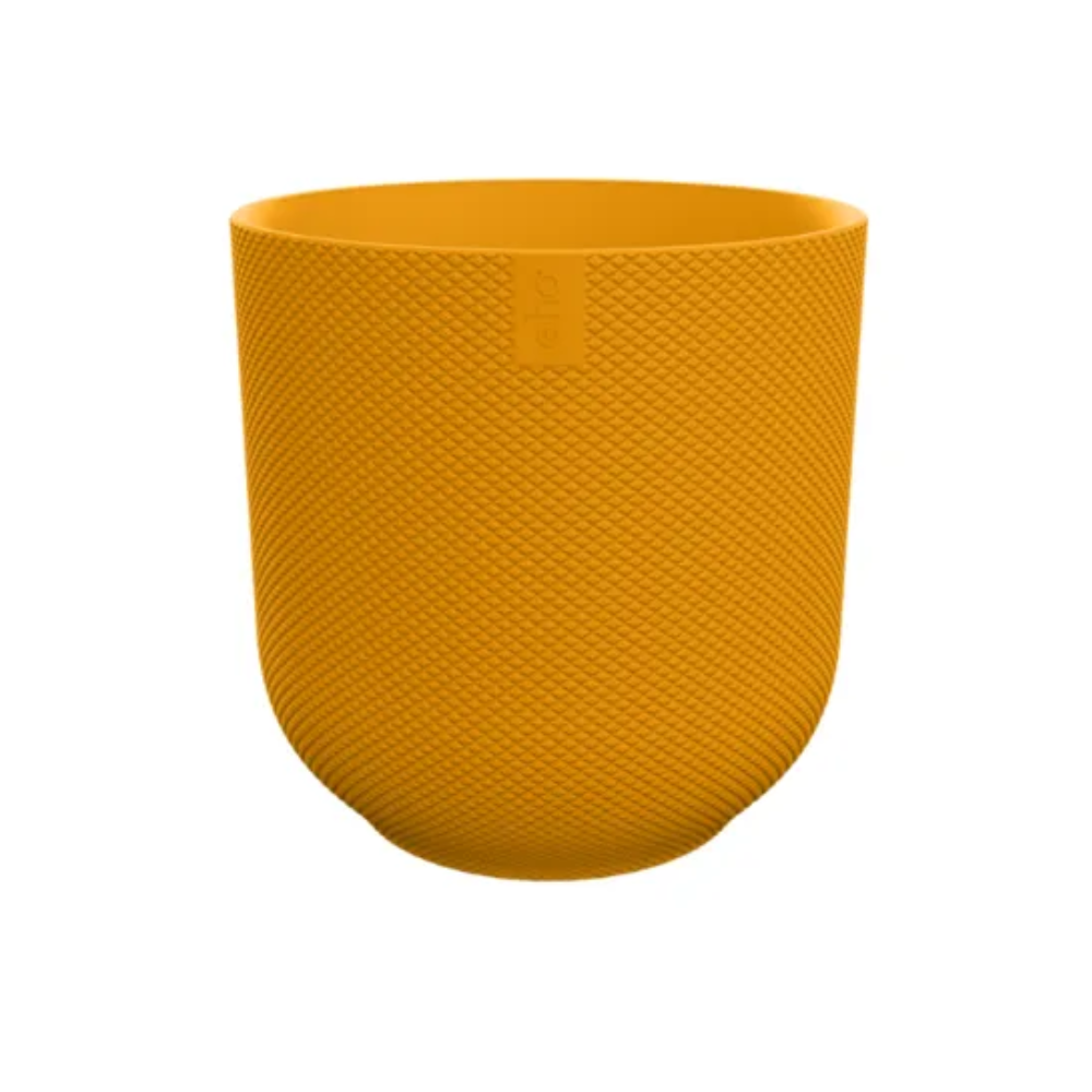 Pot Elho Jazz Round Amber Yellow en pot  Hauteur 21cm. Plante verte type Pot Elho Jazz Round Amber Yellow, livrée en pot, idéale pour intérieur lumineux.