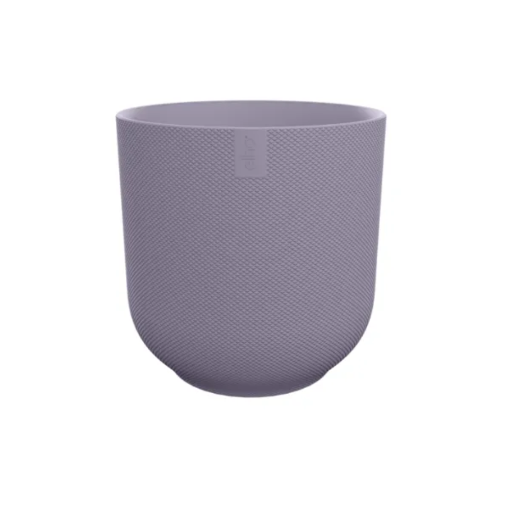Pot Elho Jazz Round Lavender Lilac en pot  Hauteur 21cm. Plante verte type Pot Elho Jazz Round Lavender Lilac, livrée en pot, idéale pour intérieur lumineux.