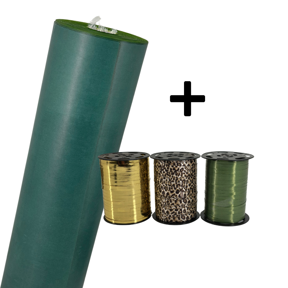 Cadeauverpakking en pot. Plante verte type Cadeauverpakking, livrée en pot, idéale pour intérieur lumineux.