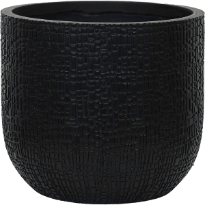 Capi Nature Skin Pot Bol Antraciet en pot. Plante verte type Capi Nature Skin Pot Bol Antraciet, livrée en pot, idéale pour intérieur lumineux.