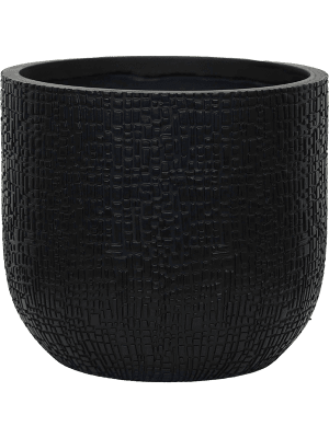 Capi Nature Skin Pot Bol Antraciet en pot. Plante verte type Capi Nature Skin Pot Bol Antraciet, livrée en pot, idéale pour intérieur lumineux.