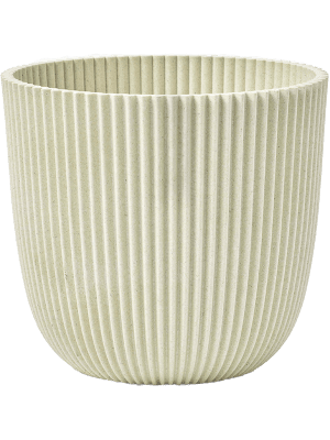 Capi Pot Nature Groove Made With Zaagsel Beige en pot. Plante verte type Capi Pot Nature Groove Made With Zaagsel Beige, livrée en pot, idéale pour intérieur lumineux.