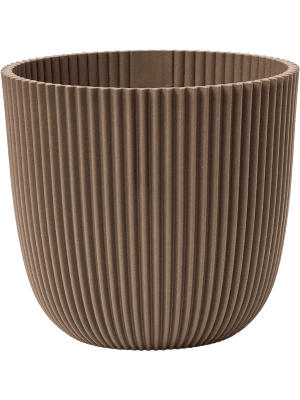 Capi Pot Nature Groove Made With Warm Taupe en pot. Plante verte type Capi Pot Nature Groove Made With Warm Taupe, livrée en pot, idéale pour intérieur lumineux.
