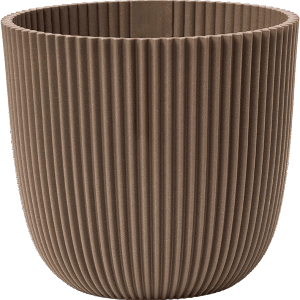 Capi Pot Nature Groove Made With Warm Taupe en pot. Plante verte type Capi Pot Nature Groove Made With Warm Taupe, livrée en pot, idéale pour intérieur lumineux.