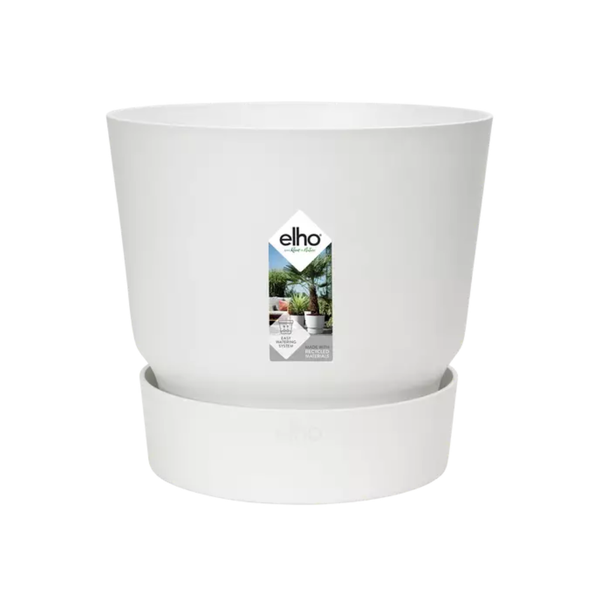 Elho greenville round white en pot. Plante verte type Elho greenville round white, livrée en pot, idéale pour intérieur lumineux.