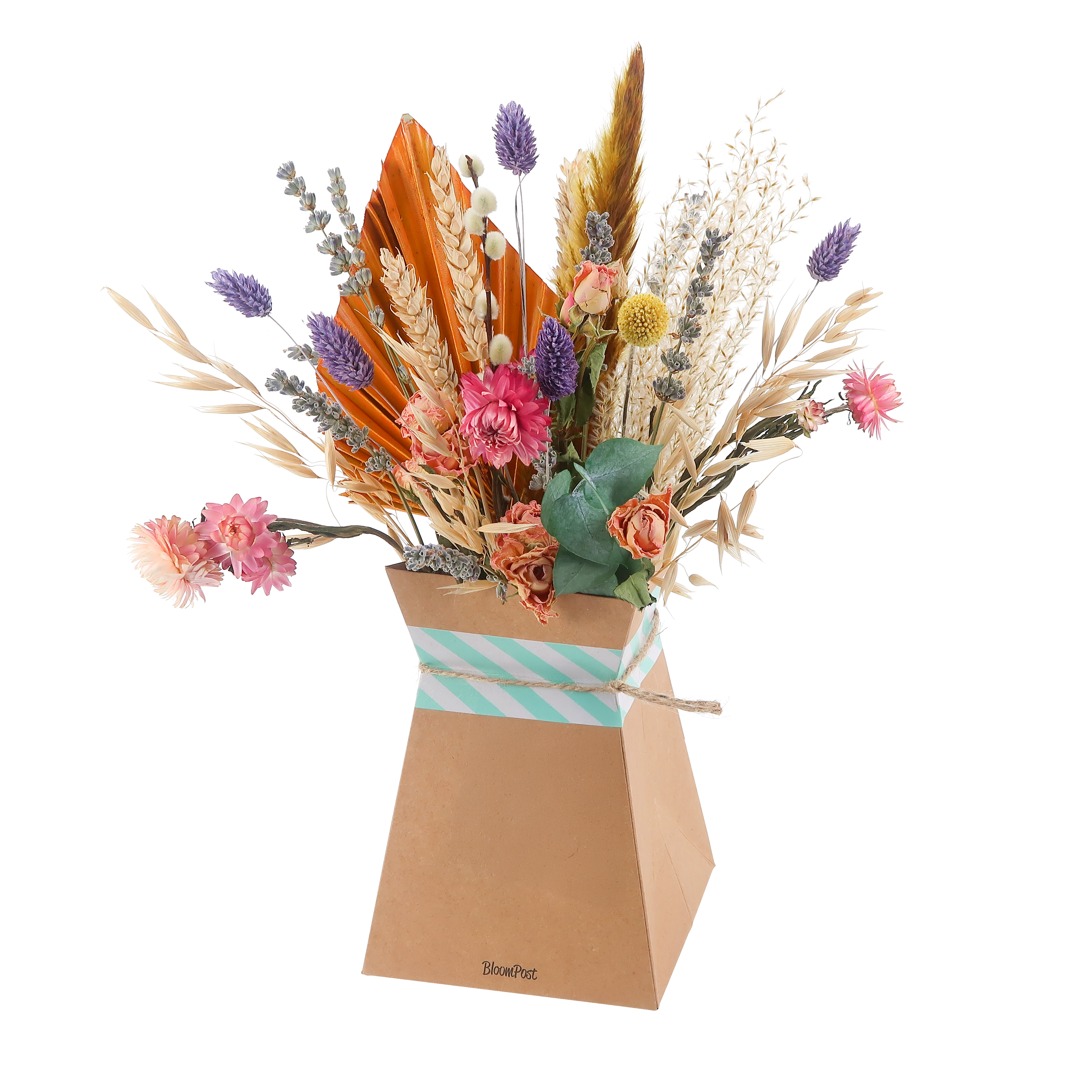 Droogbloemenboeket Pastel, incl. vouwvaas en pot. Plante verte type Droogbloemenboeket Pastel, incl. vouwvaas, livrée en pot, idéale pour intérieur lumineux.