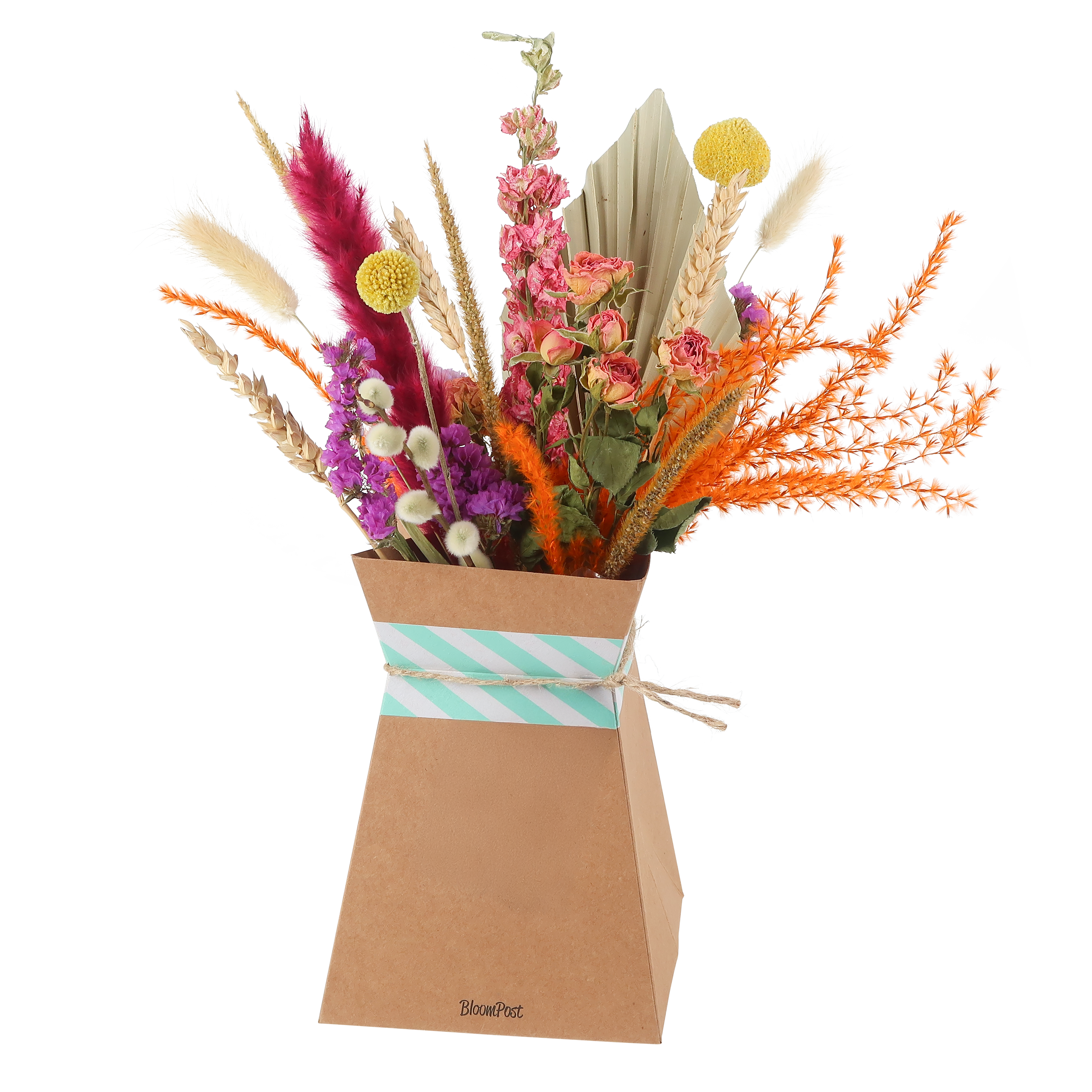 Droogbloemen boeket incl. vouwvaas en pot. Plante verte type Droogbloemen boeket incl. vouwvaas, livrée en pot, idéale pour intérieur lumineux.
