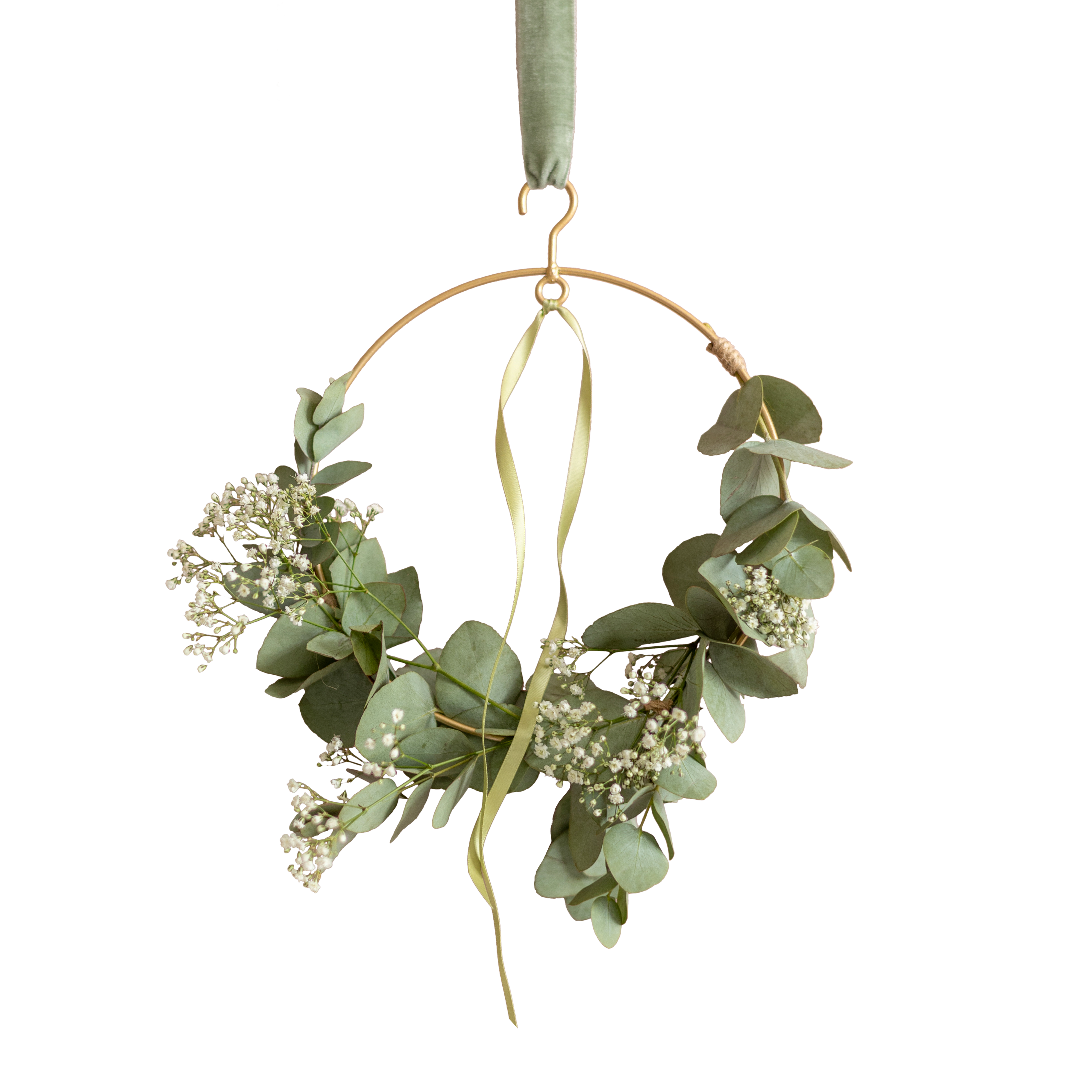 Bloom Circle en pot. Plante verte type Bloom Circle, livrée en pot, idéale pour intérieur lumineux.