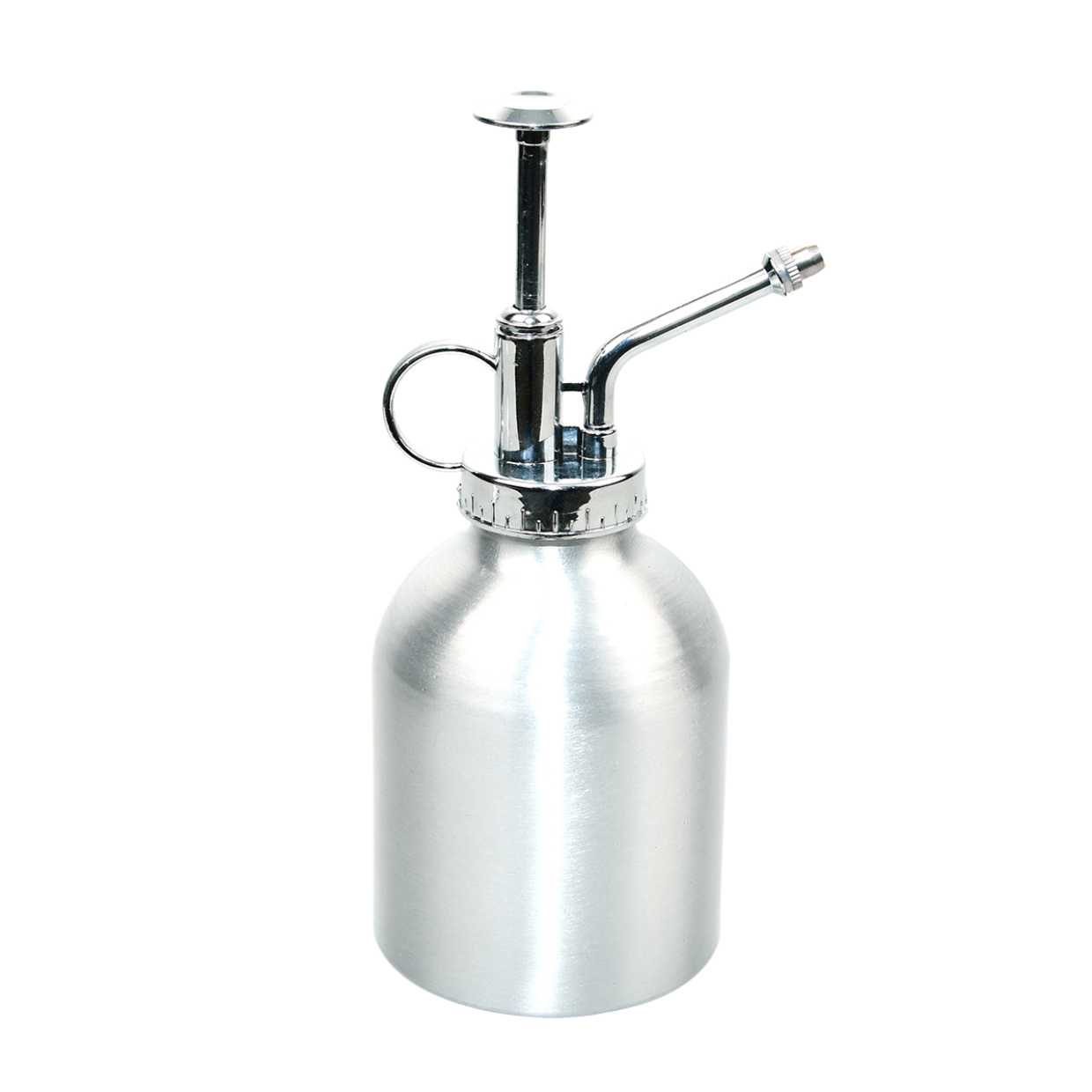 Plant sprayer aluminium en pot. Plante verte type Plant sprayer aluminium, livrée en pot, idéale pour intérieur lumineux.
