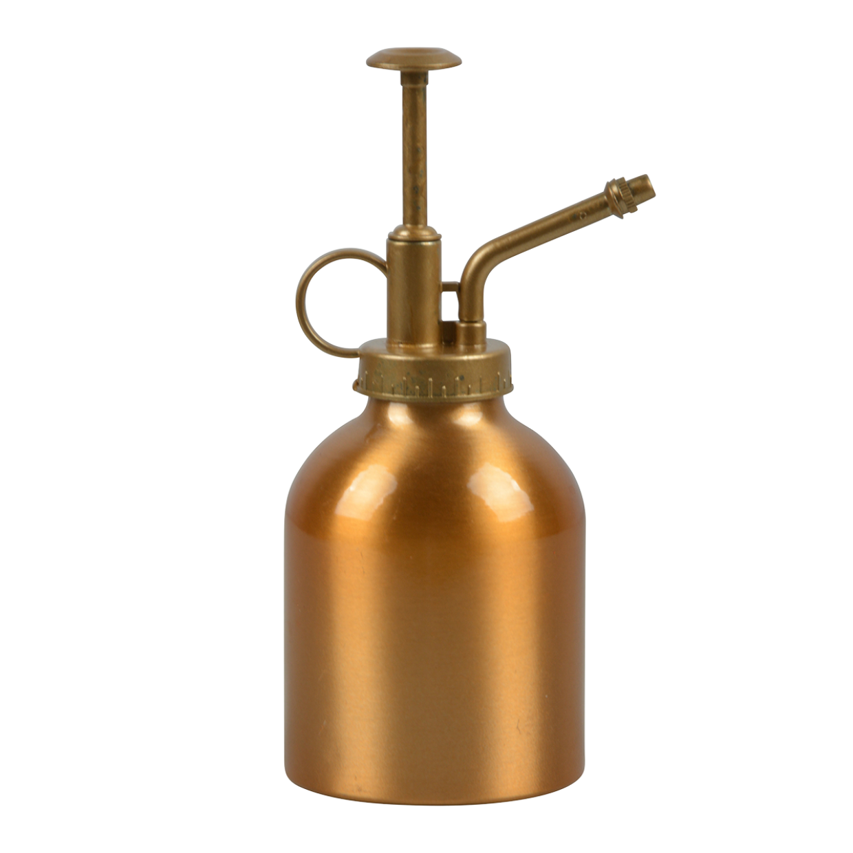 Copper en pot. Plante verte type Copper, livrée en pot, idéale pour intérieur lumineux.
