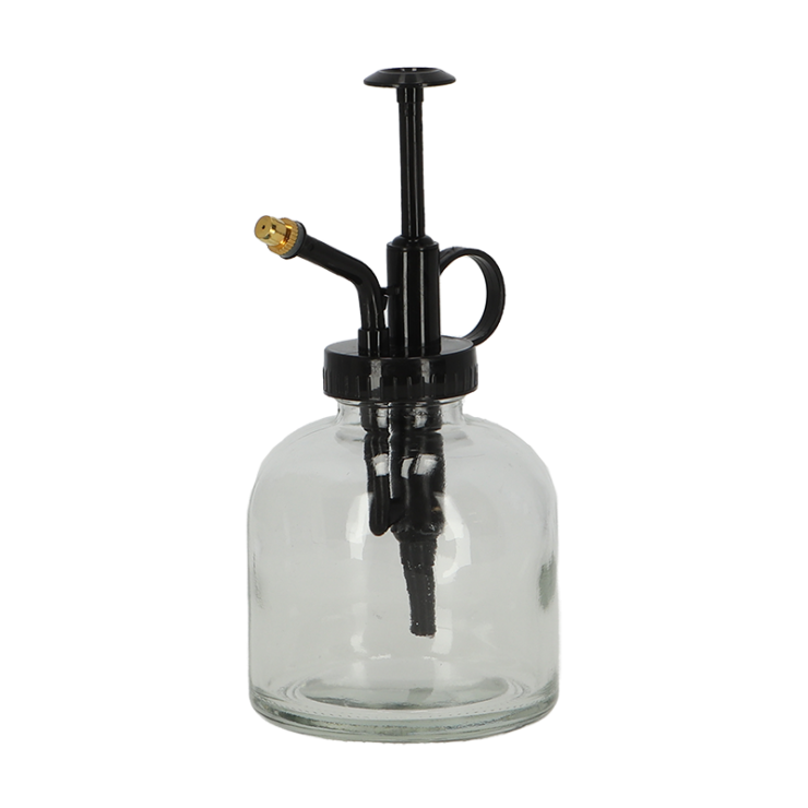 Plant mister transparent en pot. Plante verte type Plant mister transparent, livrée en pot, idéale pour intérieur lumineux.