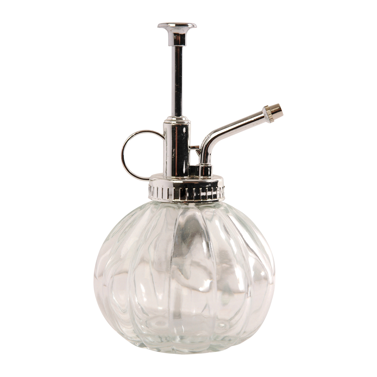 Plantensproeier helder/ zilver en pot. Plante verte type Plantensproeier helder/ zilver, livrée en pot, idéale pour intérieur lumineux.