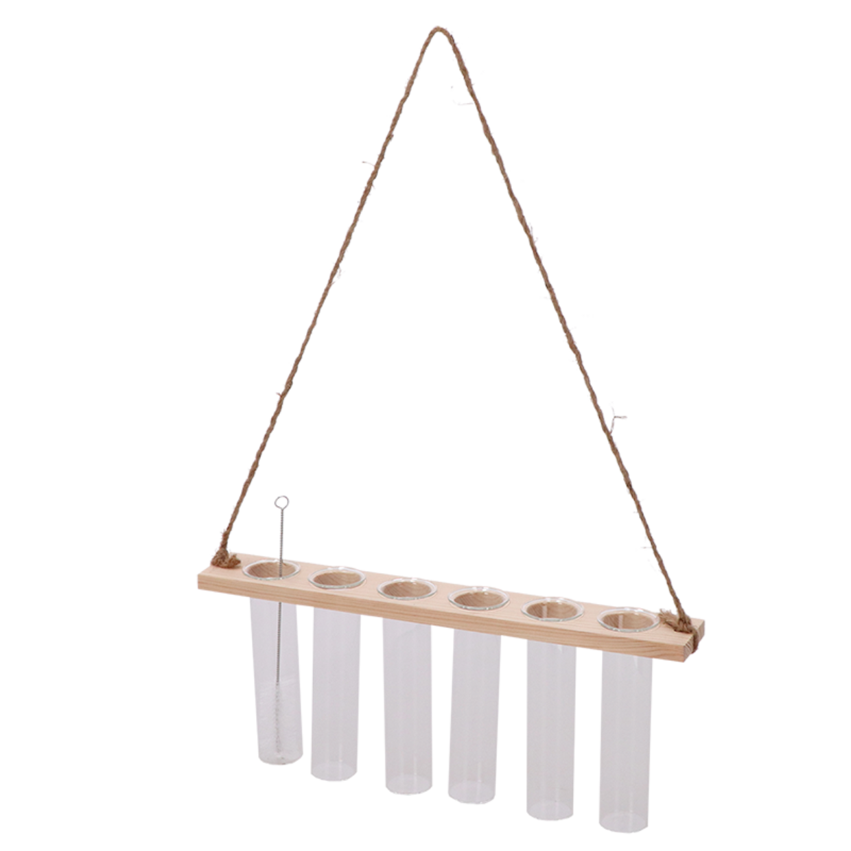 Reageerbuishanger M en pot. Plante verte type Reageerbuishanger M, livrée en pot, idéale pour intérieur lumineux.