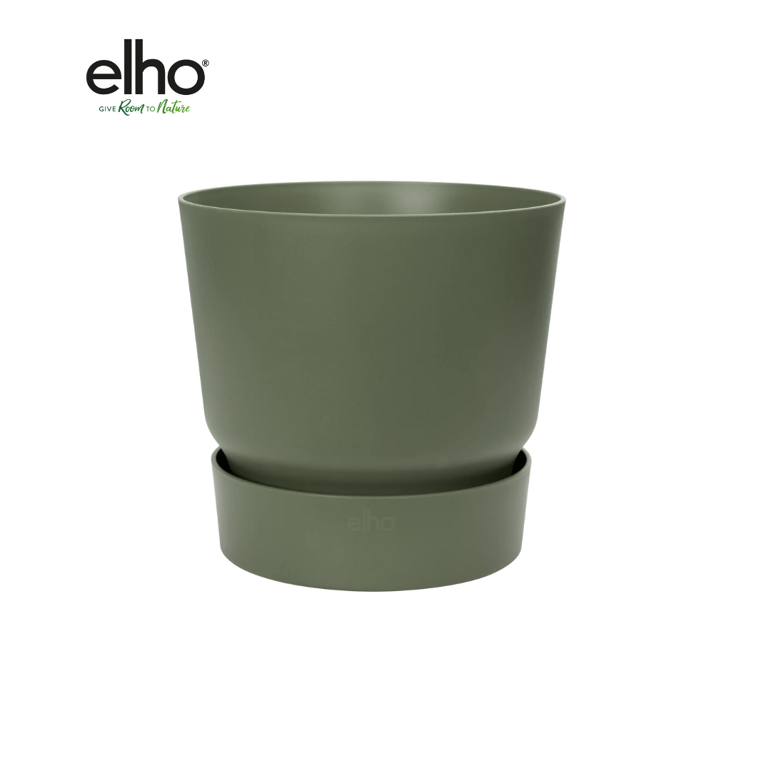 Pot elho Greenville Round groen en pot  Hauteur 28cm. Plante verte type Pot elho Greenville Round groen, livrée en pot, idéale pour intérieur lumineux.