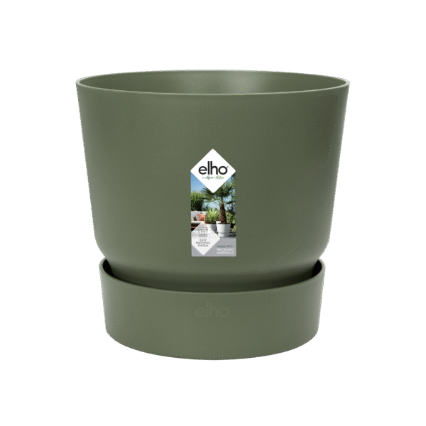 Pot elho Greenville Round groen en pot  Hauteur 28cm. Plante verte type Pot elho Greenville Round groen, livrée en pot, idéale pour intérieur lumineux. – Image 2