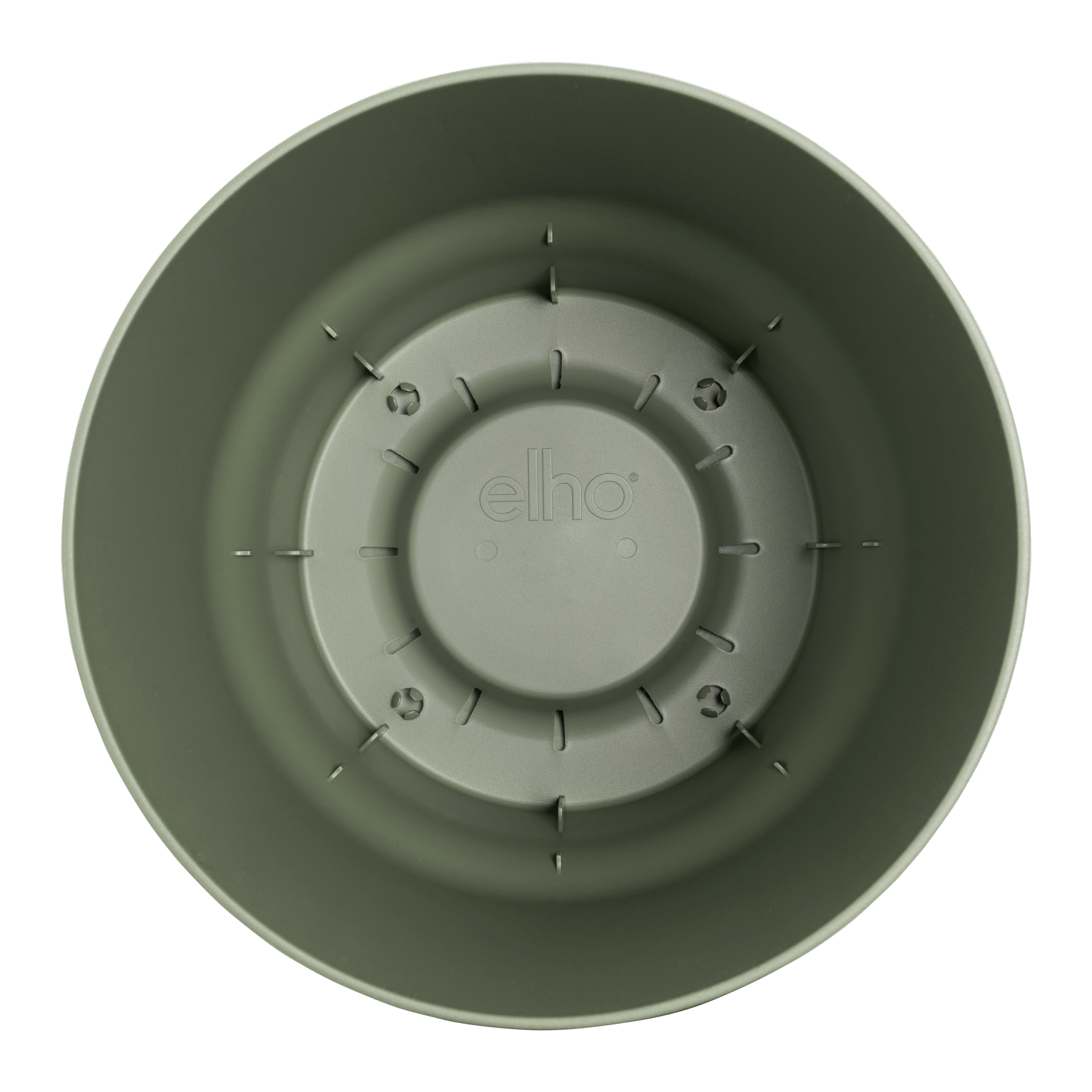 Pot elho Greenville Round groen en pot  Hauteur 28cm. Plante verte type Pot elho Greenville Round groen, livrée en pot, idéale pour intérieur lumineux. – Image 4