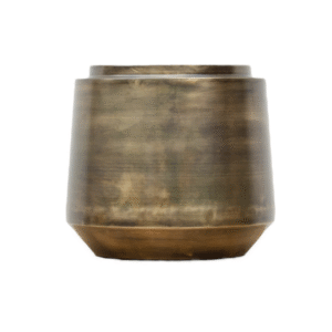 Pot Indigo Vintage Gold en pot  Hauteur 41cm. Plante verte type Pot Indigo Vintage Gold, livrée en pot, idéale pour intérieur lumineux.