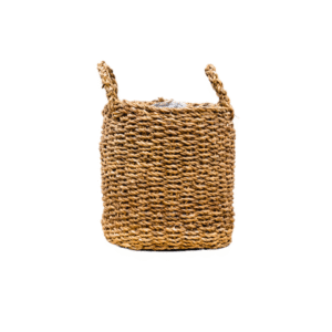 Mand Jack en pot. Plante verte type Mand Jack, livrée en pot, idéale pour intérieur lumineux.