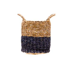 Mand Vic en pot. Plante verte type Mand Vic, livrée en pot, idéale pour intérieur lumineux.