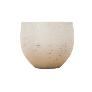 Jumbo Orb Beige Washed en pot  Hauteur 45cm. Plante verte type Jumbo Orb Beige Washed, livrée en pot, idéale pour intérieur lumineux.