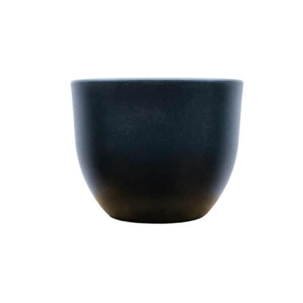 Pot Eggy Antraciet en pot  Hauteur 43cm. Plante verte type Pot Eggy Antraciet, livrée en pot, idéale pour intérieur lumineux.